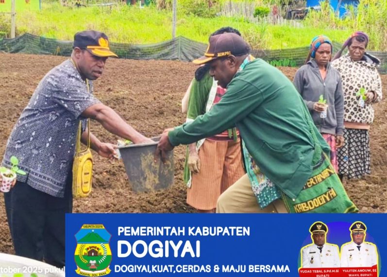 Pemda Dogiyai Menyerahkan Bibit Sawi sebanyak 20 Ribuh kepada Green House KP yang ada di Dogiyai