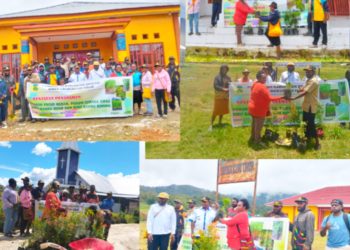 DLH Kabupaten Dogiyai Bagikan Aneka Bibit Pohon pada Gereja, RSUD kantor dan Puskesmas serta tempat umum lainnya