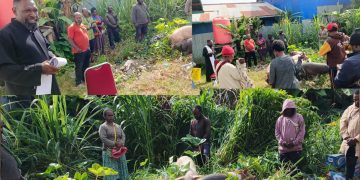 Mensejahterakan Staf, Kantor Pajak & Retribusi Daerah Dogiyai Potong 7 Ekor babi bersama Staf