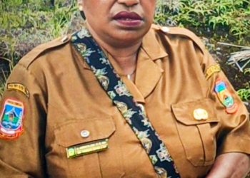 RSUD Dogiyai Masuk Program “Quick Win” Presiden: Masyarakat diminta Jaga Ketertiban Pembangunan Tipe c yang akan bangun