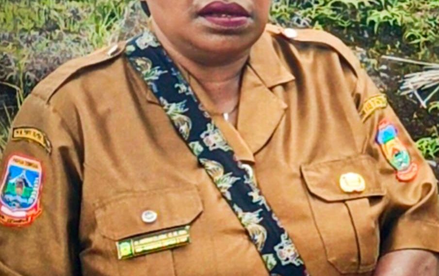 RSUD Dogiyai Masuk Program “Quick Win” Presiden: Masyarakat diminta Jaga Ketertiban Pembangunan Tipe c yang akan bangun