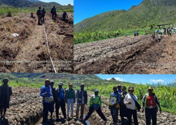 Dinas Pertanian Dogiyai Lakukan Pemetaan Geospasial Lahan di Kampung Idadagi untuk Dukung Ketahanan Pangan