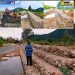 Kerja Nyata Bupati Yudas & Wakil Yuliten Anouw: Dinas PUPR Bangun Bronjong Terpanjang di Kali Wani, Kampung Pugatadi I.