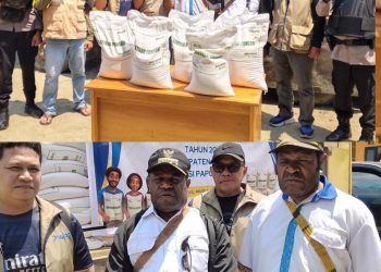 Bupati Yudas Tebai Salurkan 743 Ton Beras dari Bapanas, Ingatkan Masyarakat Dogiyai Tetap Cintai Pangan Lokal